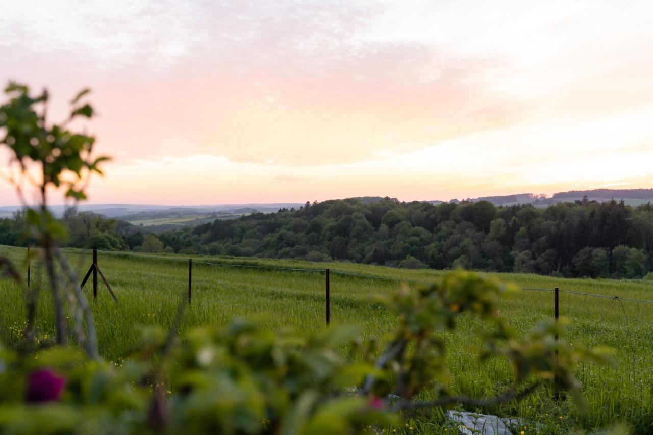 A La Source De Lavis Bed & Breakfast Houyet Dış mekan fotoğraf